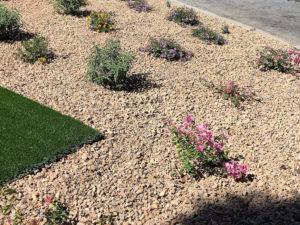 Ed's Landscaping Planting with sod and crushed stone ground cover